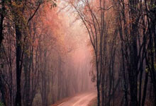 身手矫健的足球勇士们在赛场上一决高下