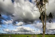 湘波鲁主场对阵，决心胜利不容追