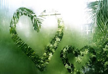 身手矫健的足球勇士们在赛场上一决高下