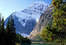 澳洲篮球联赛收官，悉尼冠军赛大胜领先