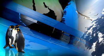 葡萄牙在最后一刻逆转捷克登上榜首 第2张