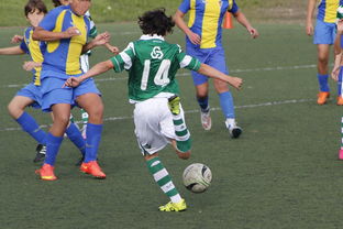 斯洛伐克队险胜芬兰，杀入强